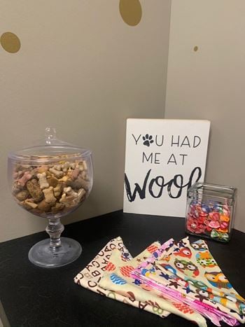 Pet friendly apartments